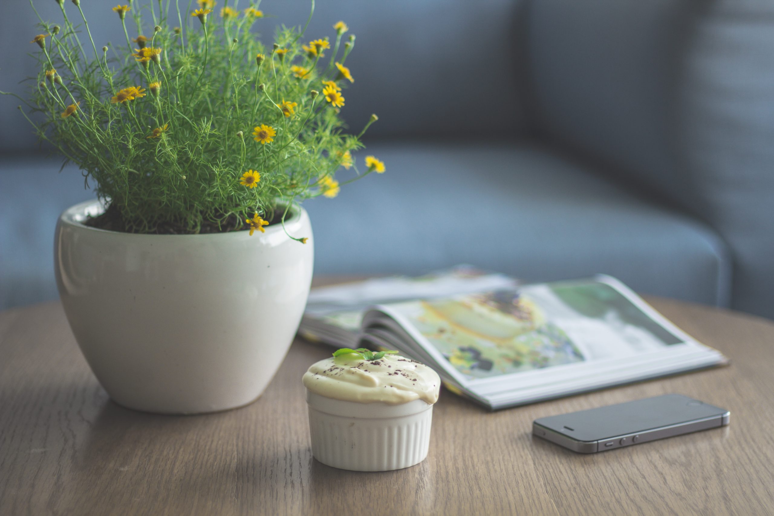 yellow petaled flower plant beside book and iPhone 5s