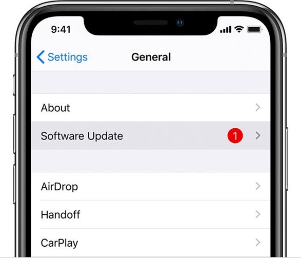 iPhone Software Update Option Highlighted in Settings