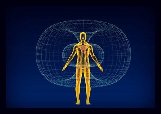 x-ray of the human body showing Human Energy Fields