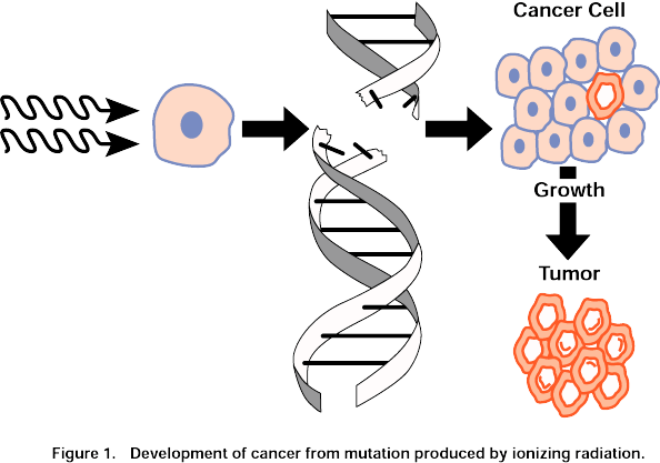 picture showing cancer mutation produced by ionizing radiation