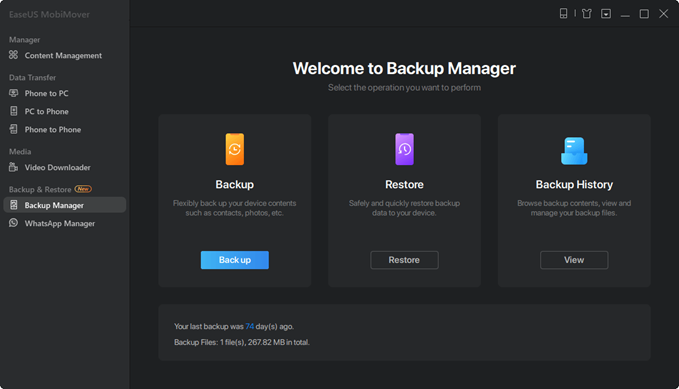 backup manager screenshot
