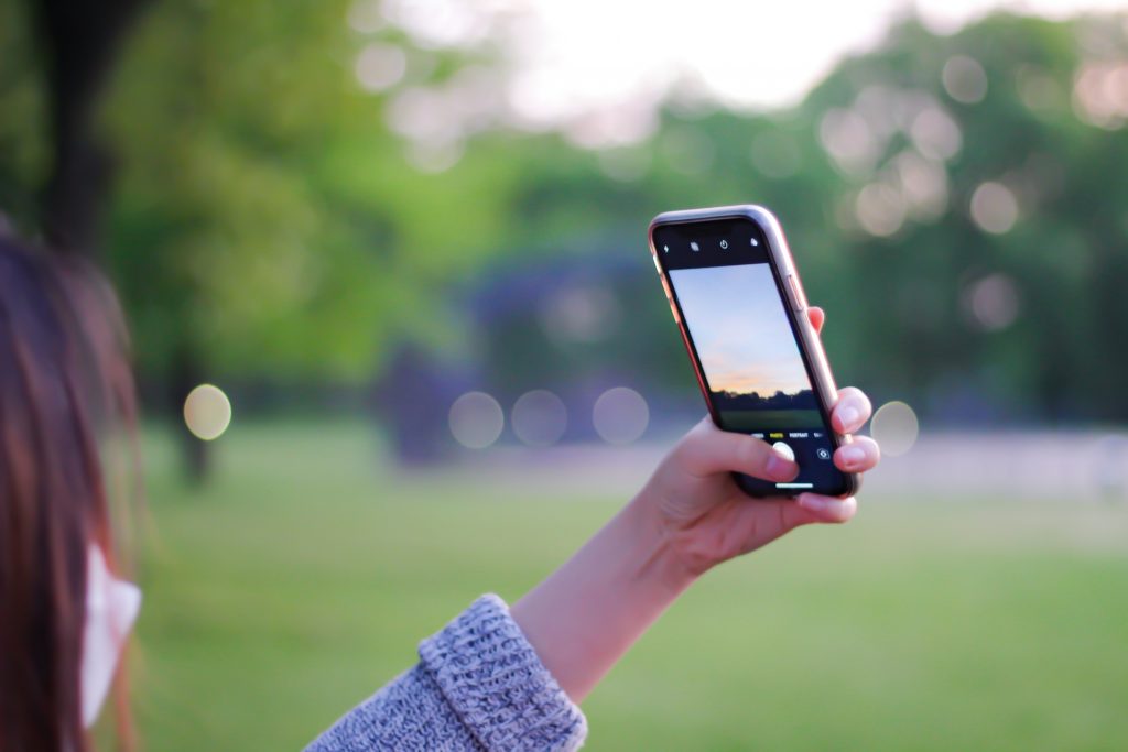 person holding phone in nature park