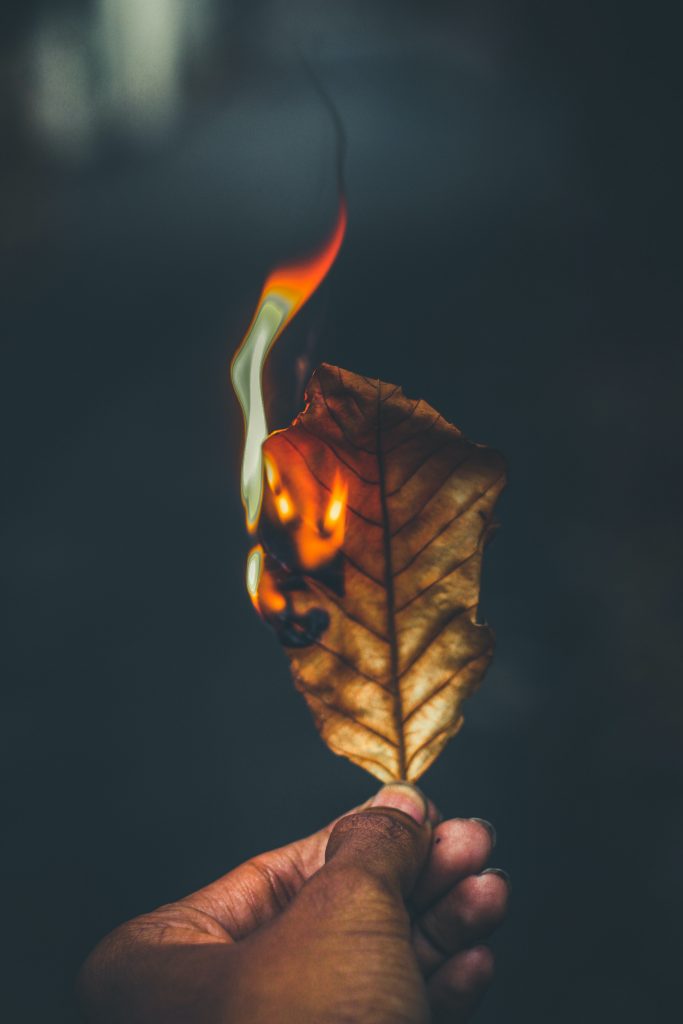 person hand holding burning dry leaf